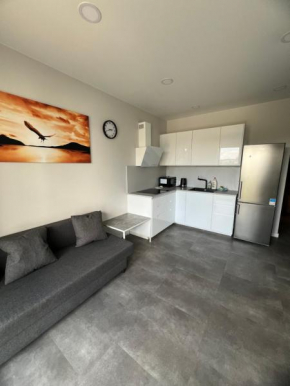Bright and cozy place to stay Vilnius